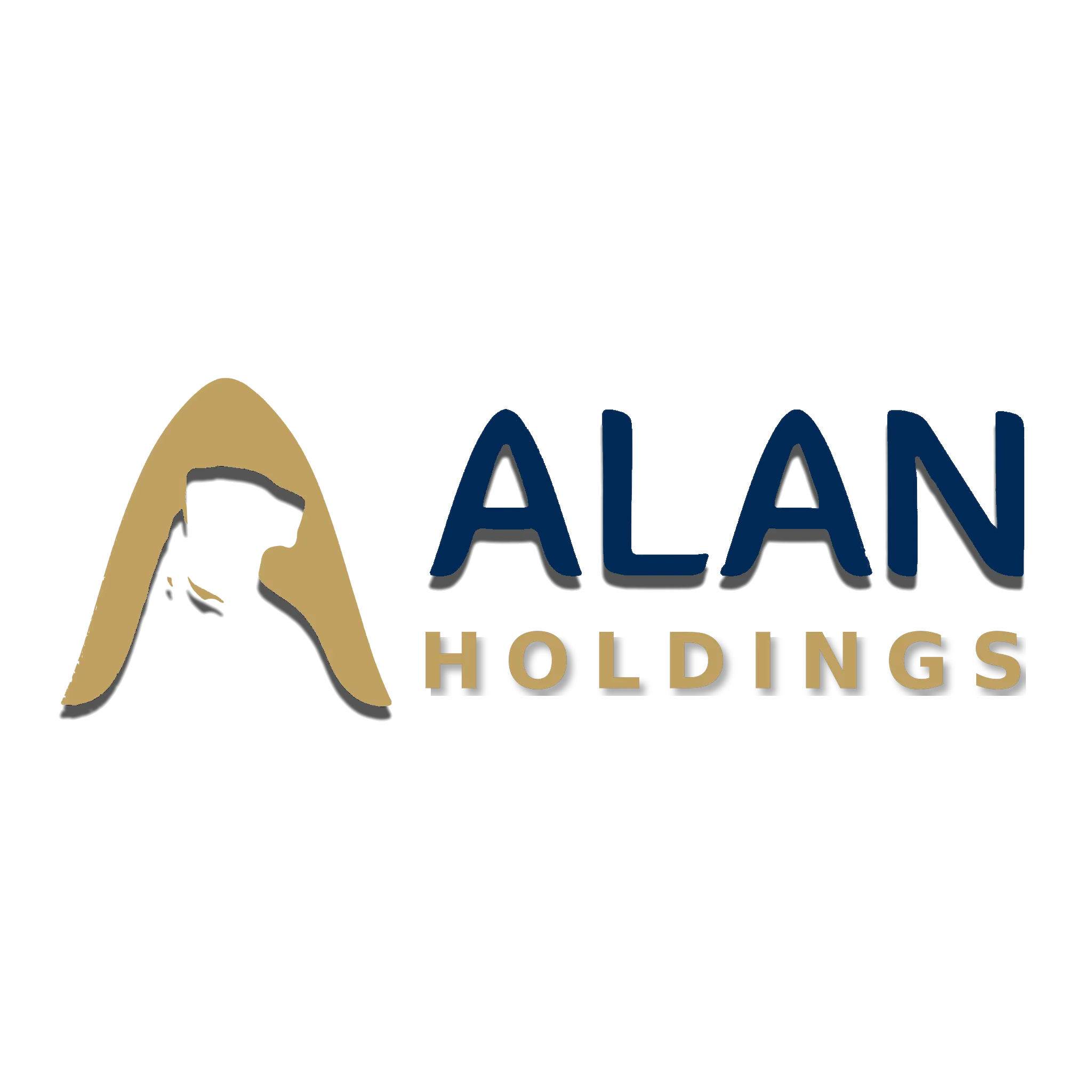 CÔNG TY TNHH ALAN HOLDINGS
