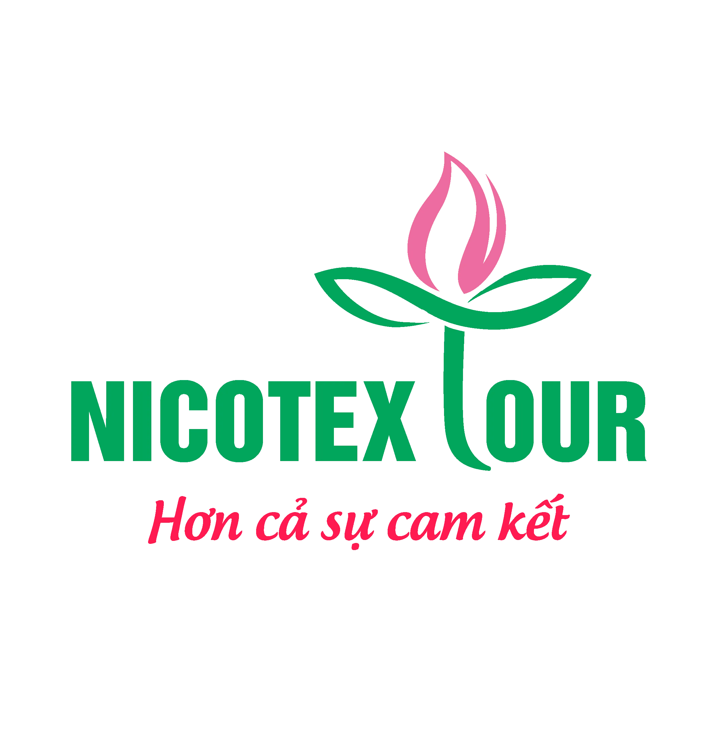 NICOTEX TOUR
