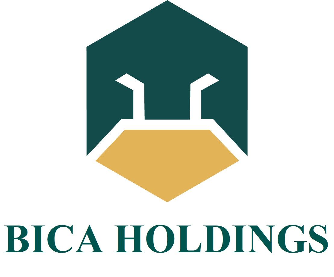 CÔNG TY CỔ PHẦN ĐẦU TƯ BICA HOLDINGS