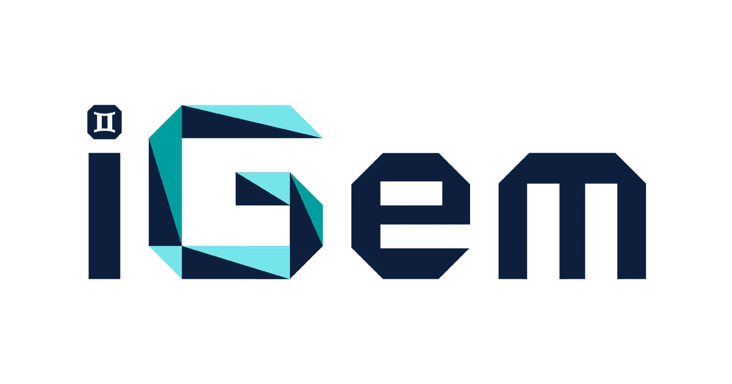 CÔNG TY TNHH IGEM