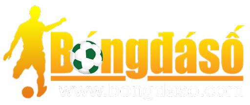 CÔNG TY CỔ PHẦN CÔNG NGHỆ VÀ DỊCH VỤ BÓNG ĐÁ SỐ