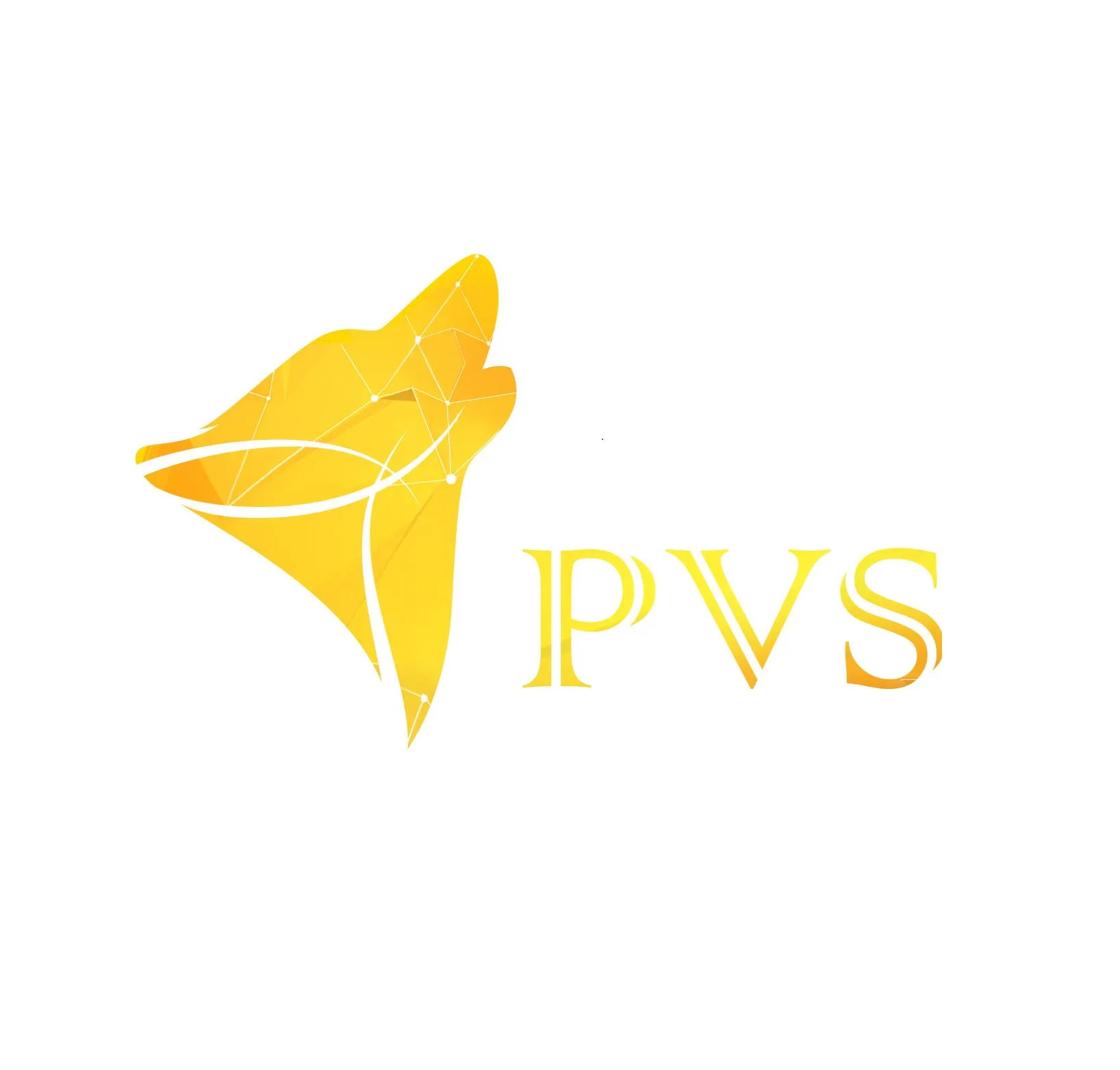 Công ty Cổ phần Phần mềm PVS
