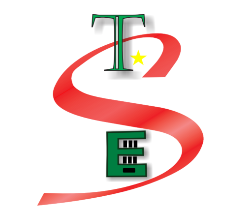 CÔNG TY CỔ PHẦN CÔNG NGHỆ TSE