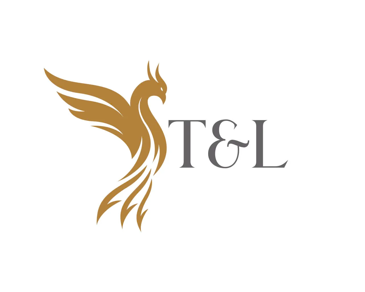 CÔNG TY CỔ PHẦN TƯ VẤN ĐẦU TƯ T&L