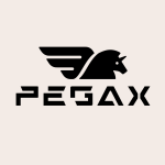 PEGAX STUDIO