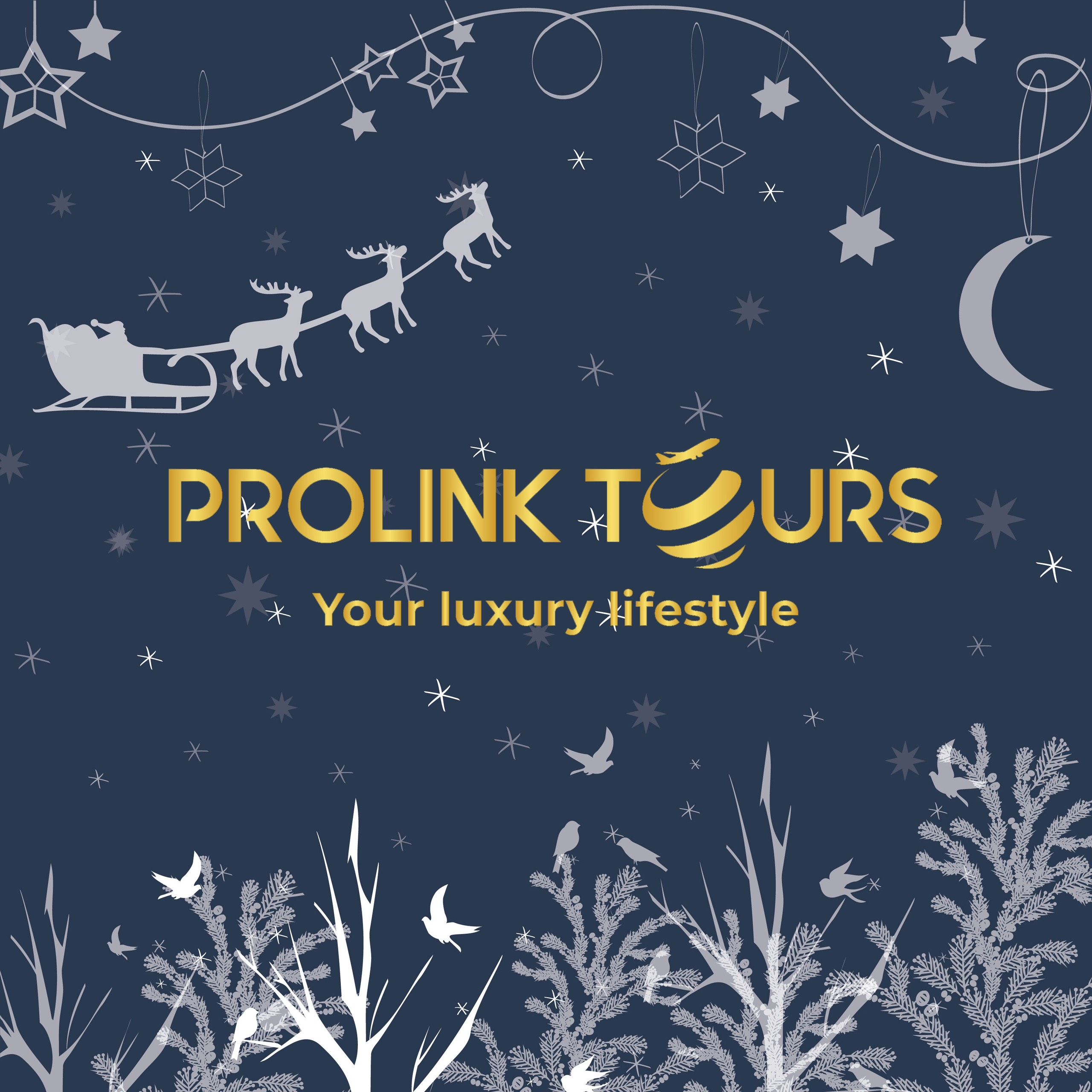 PROLINK TOURS