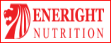 CN CTCP Eneright Việt Nam - Nhà máy Eneright