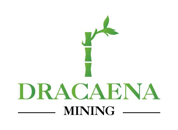 Dracaena Technology Company