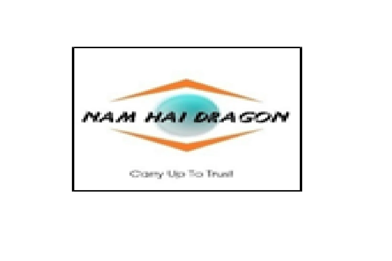 CÔNG TY TNHH THƯƠNG MẠI DỊCH VỤ RỒNG NAM HẢI