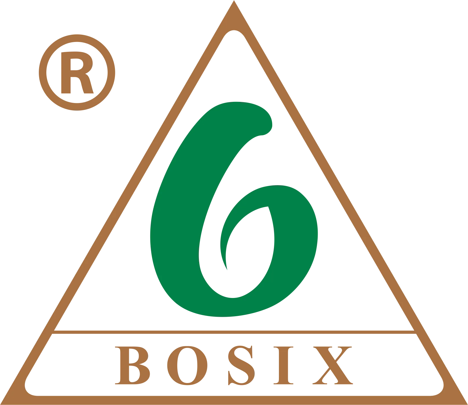 Công ty cổ phần Bosix Việt Nam
