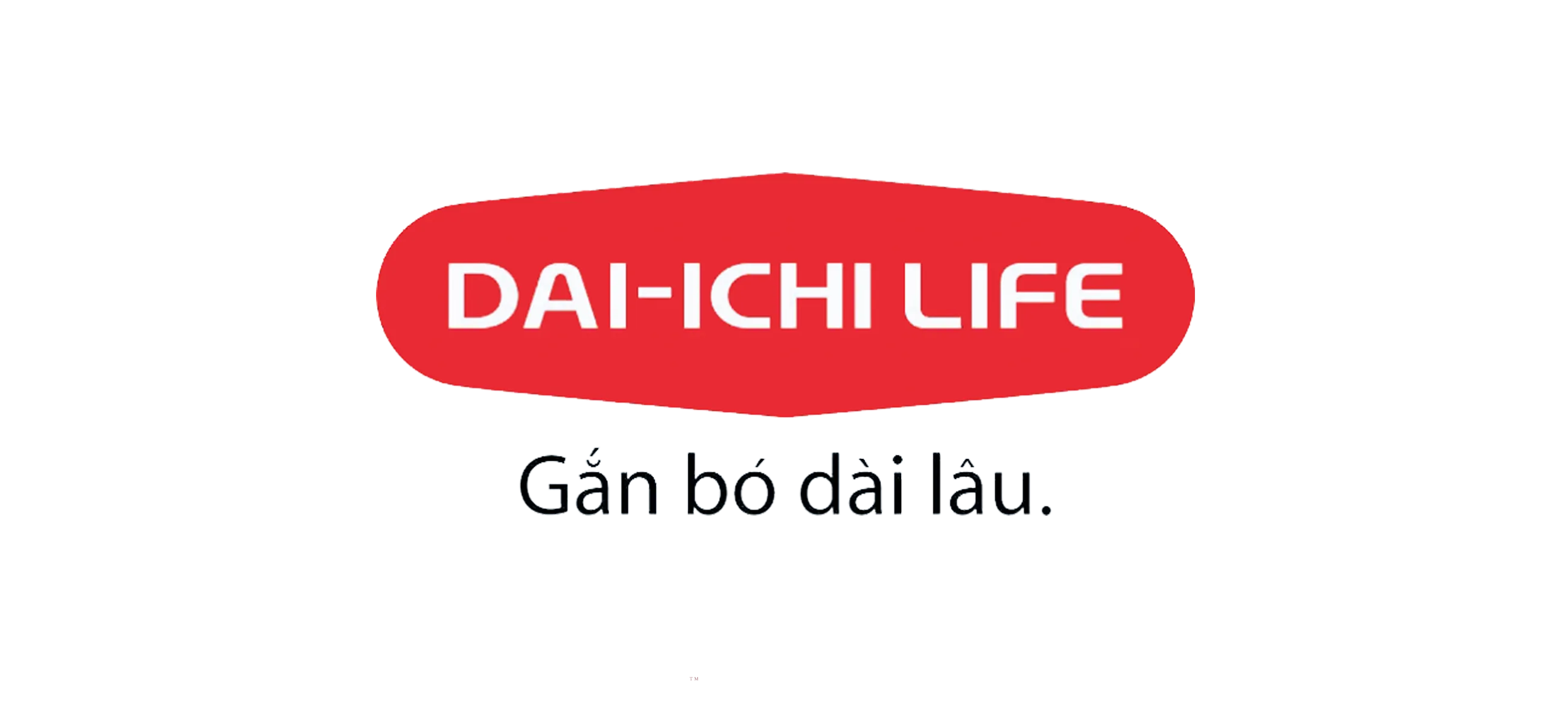 Công ty trách nhiệm hữu hạn Daichi