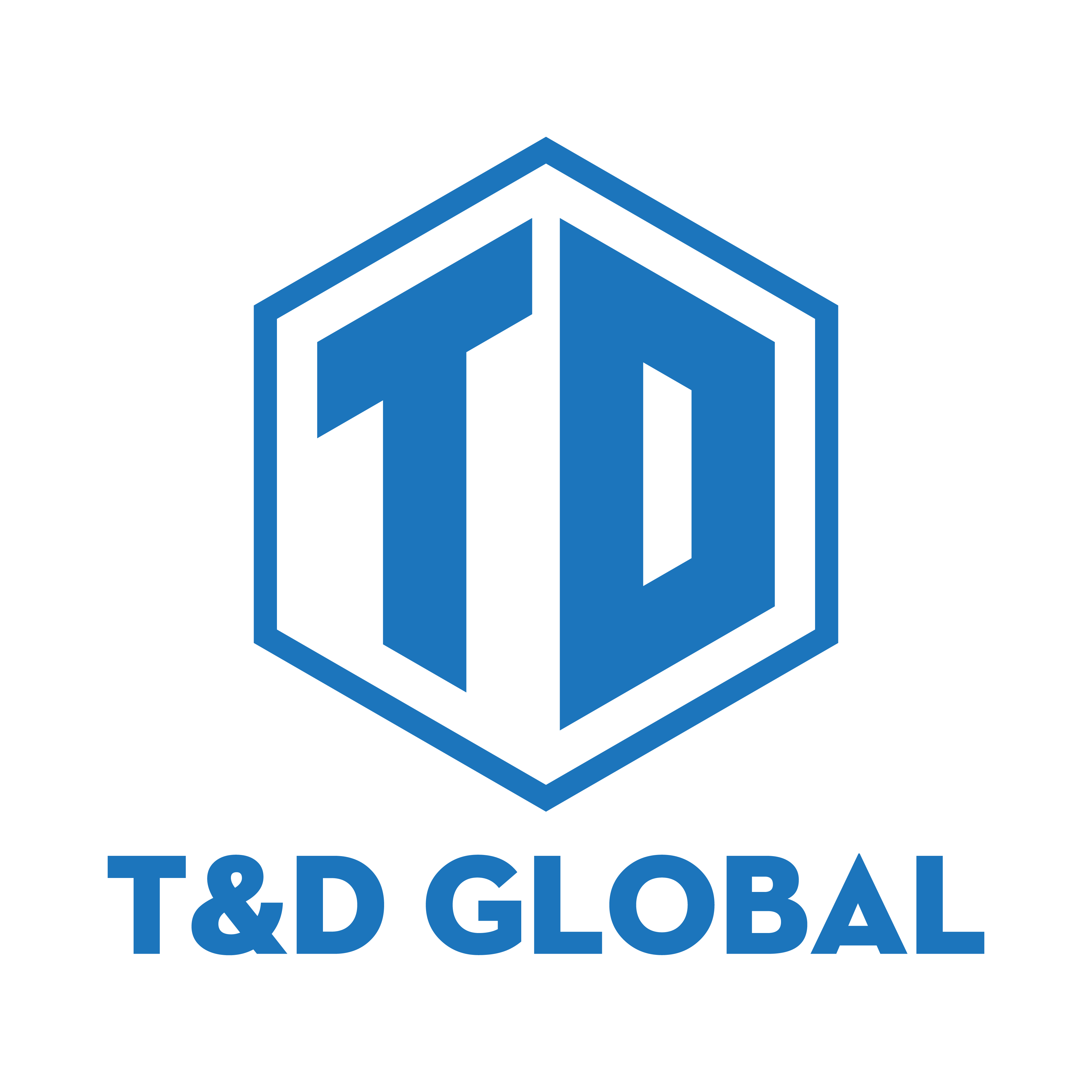 CÔNG TY CỔ PHẦN THƯƠNG MẠI T&D GLOBAL