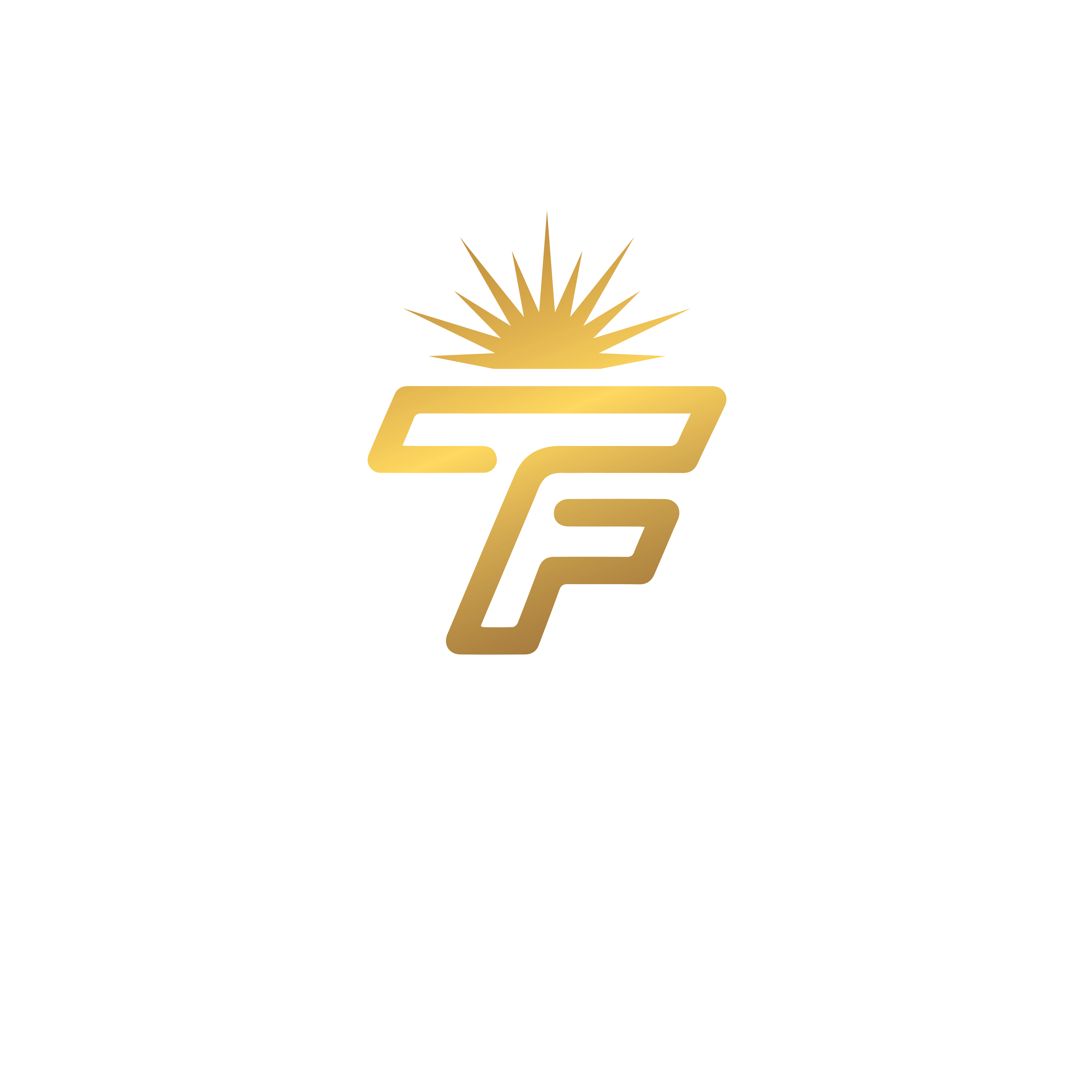 CÔNG TY TNHH TODAY & FUTURE