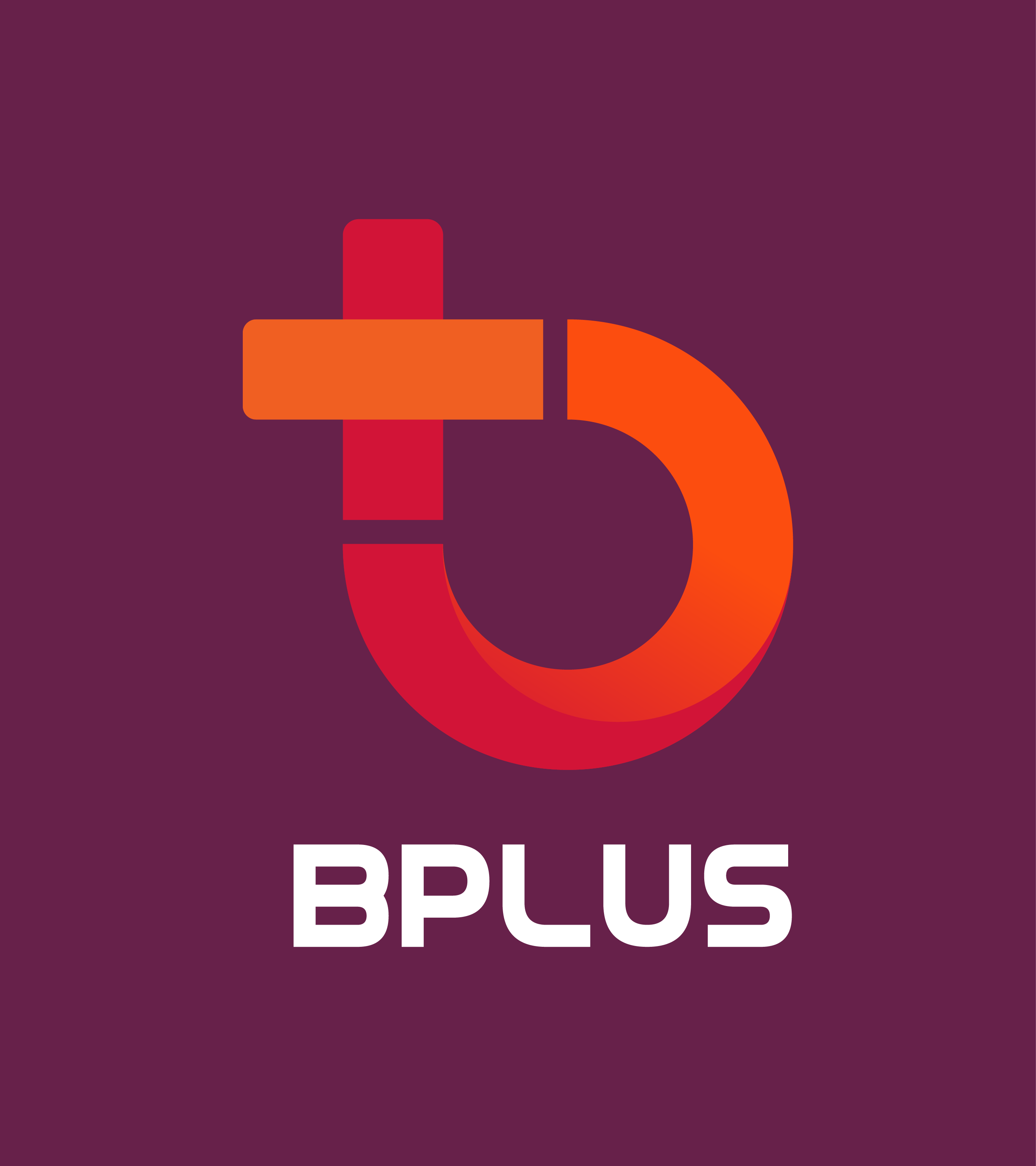 CÔNG TY CỔ PHẦN B PLUS