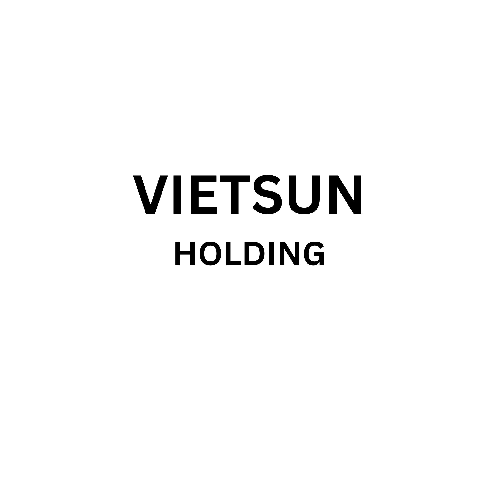 CÔNG TY CỔ PHẦN ĐẦU TƯ VIETSUN HOLDING