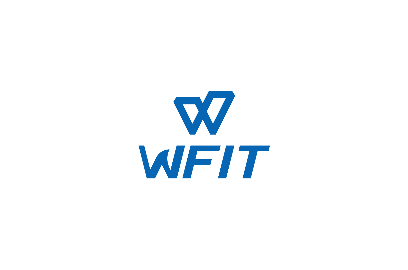 CÔNG TY CỔ PHẦN ĐẦU TƯ THƯƠNG MẠI QUỐC TẾ WFIT