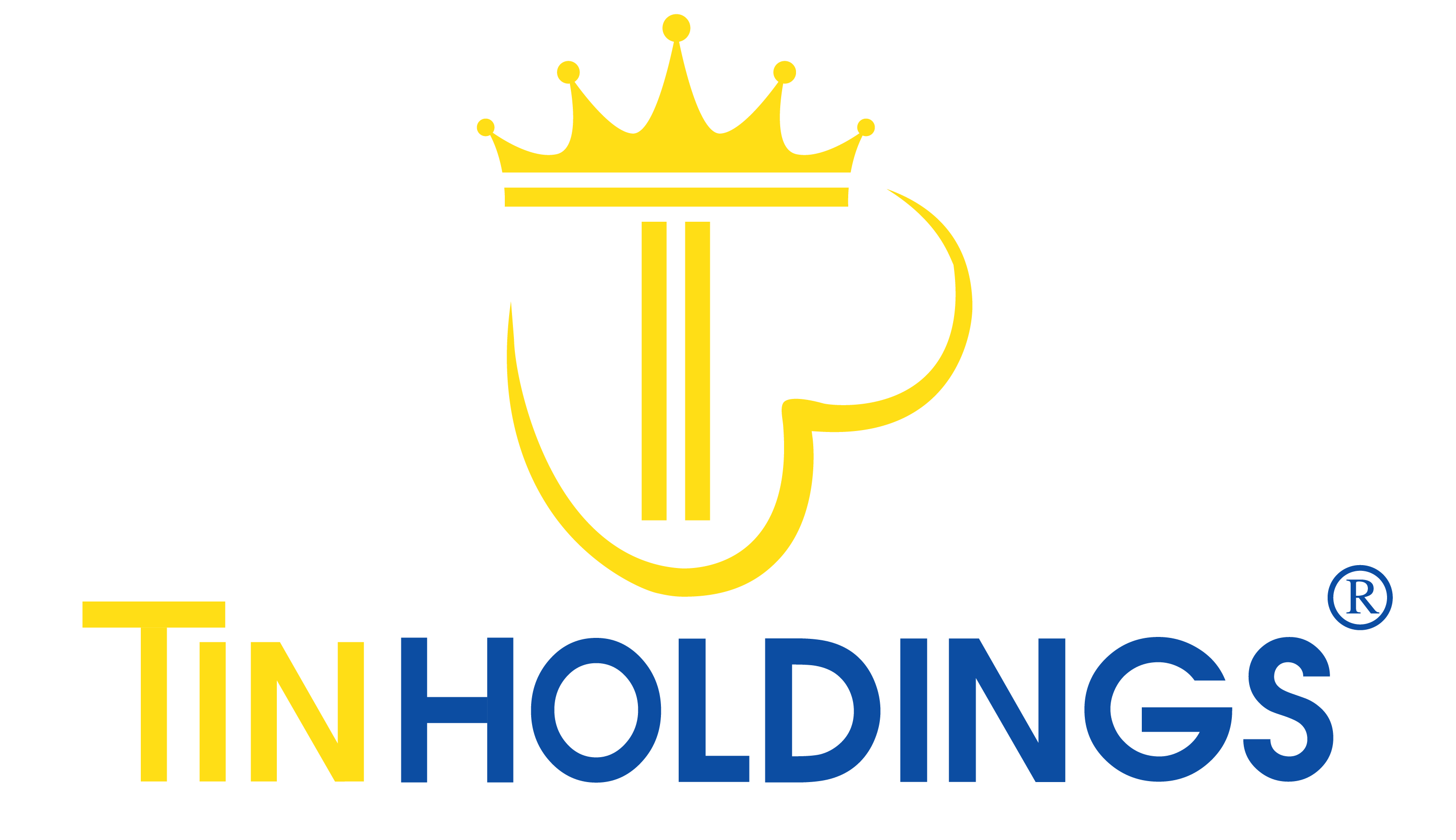 CÔNG TY TNHH TƯ VẤN DOANH NGHIỆP TIN HOLDINGS