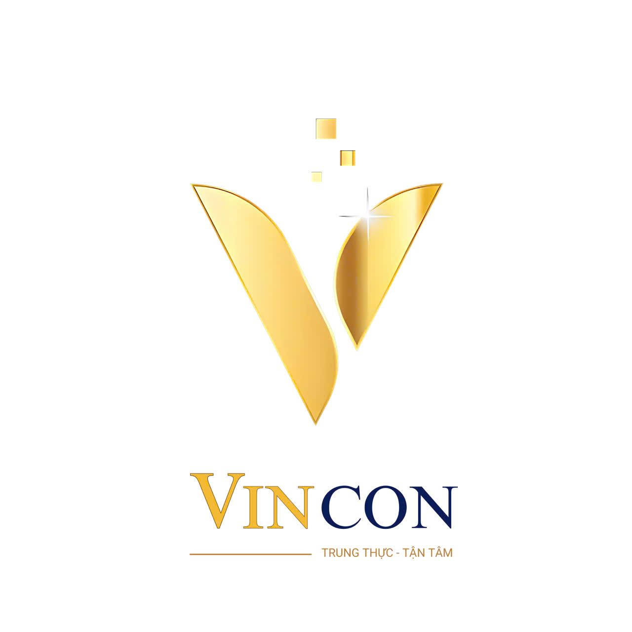 Công ty cổ phần Vincon Group