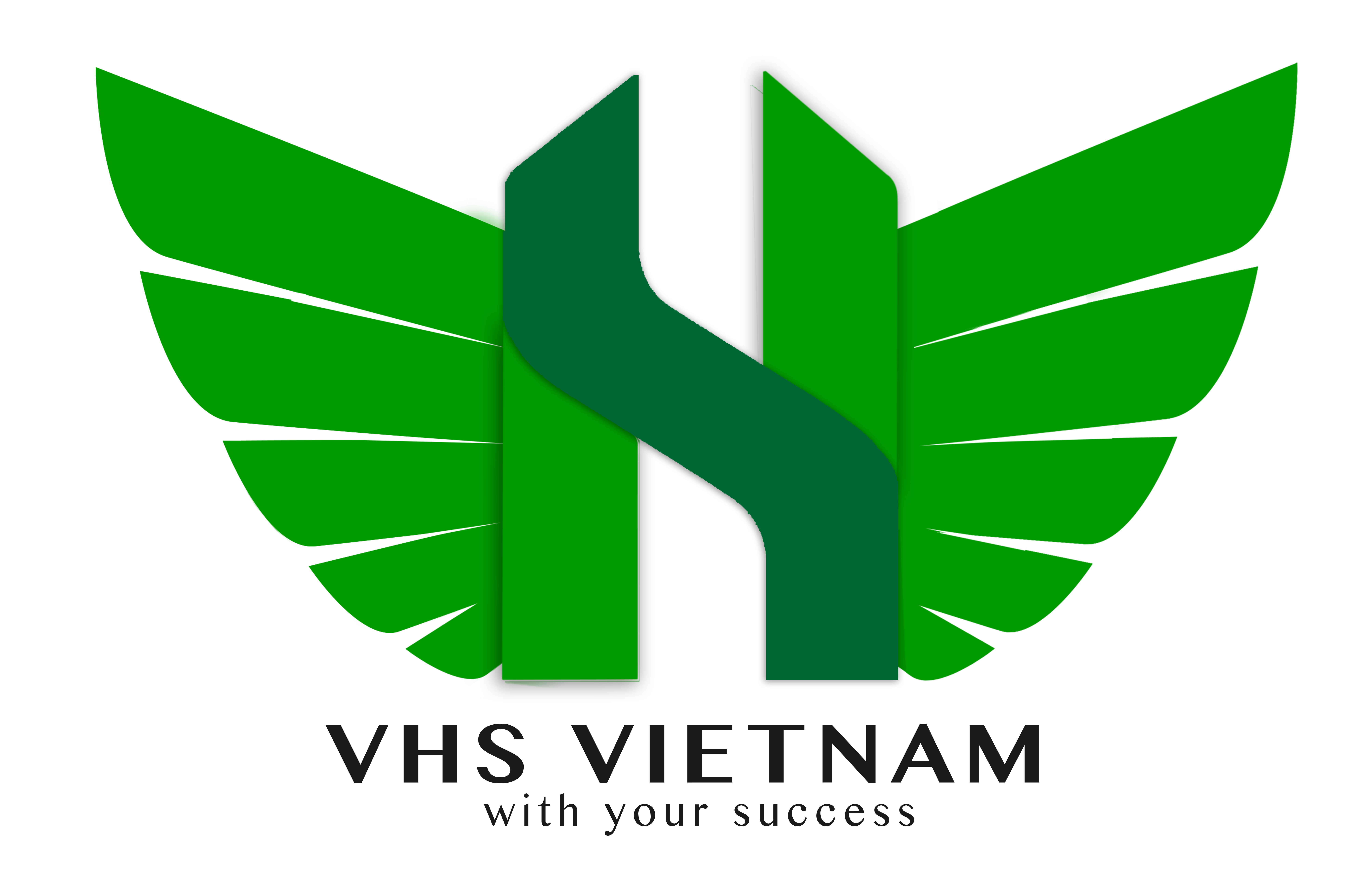 CÔNG TY TNHH VHS VIỆT NAM