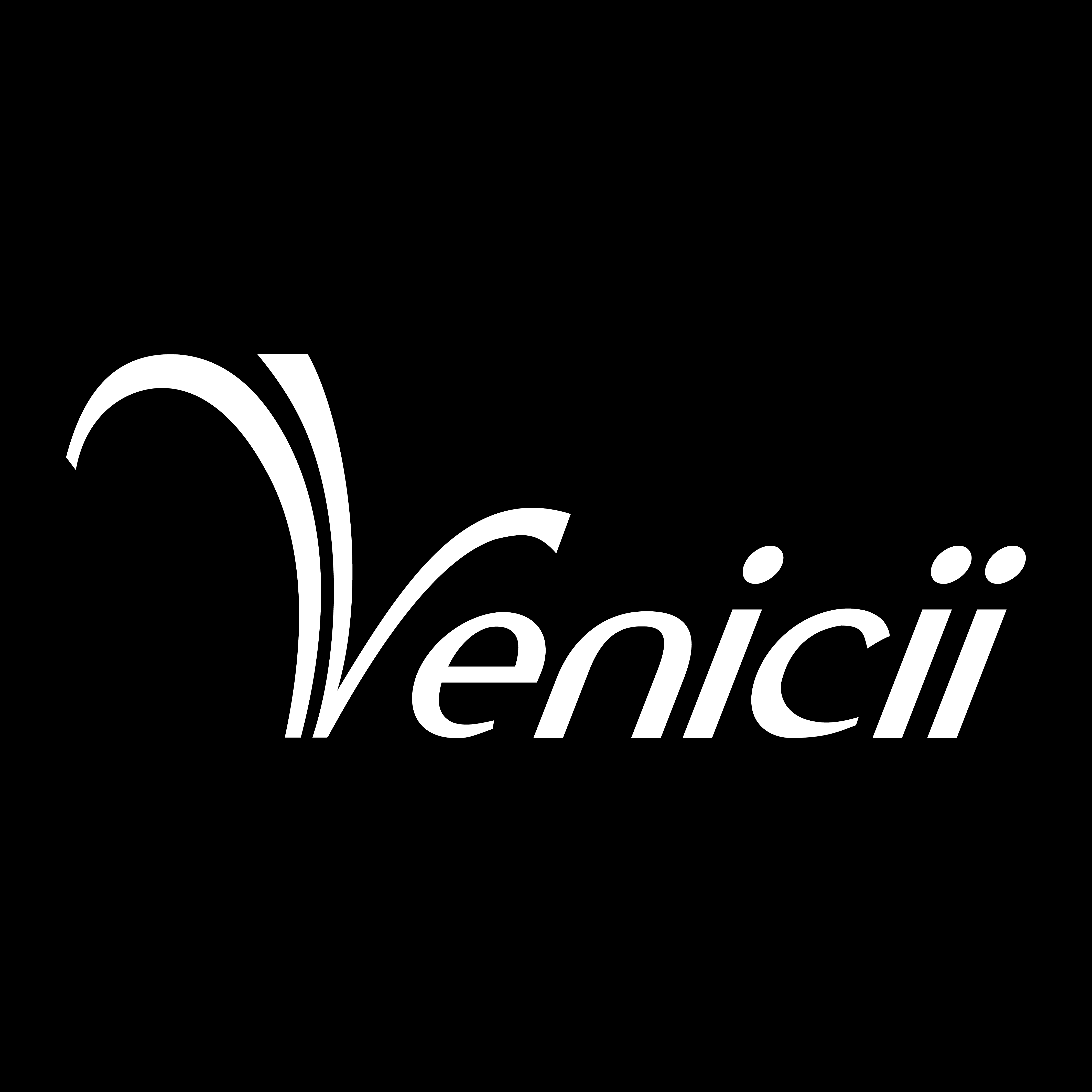 Công ty Cổ phần Venicii Việt Nam