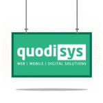 Quodisys Co,Ltd.