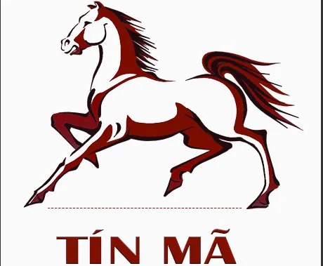 CÔNG TY TRÁCH NHIỆM HỮU HẠN TÍN MÃ