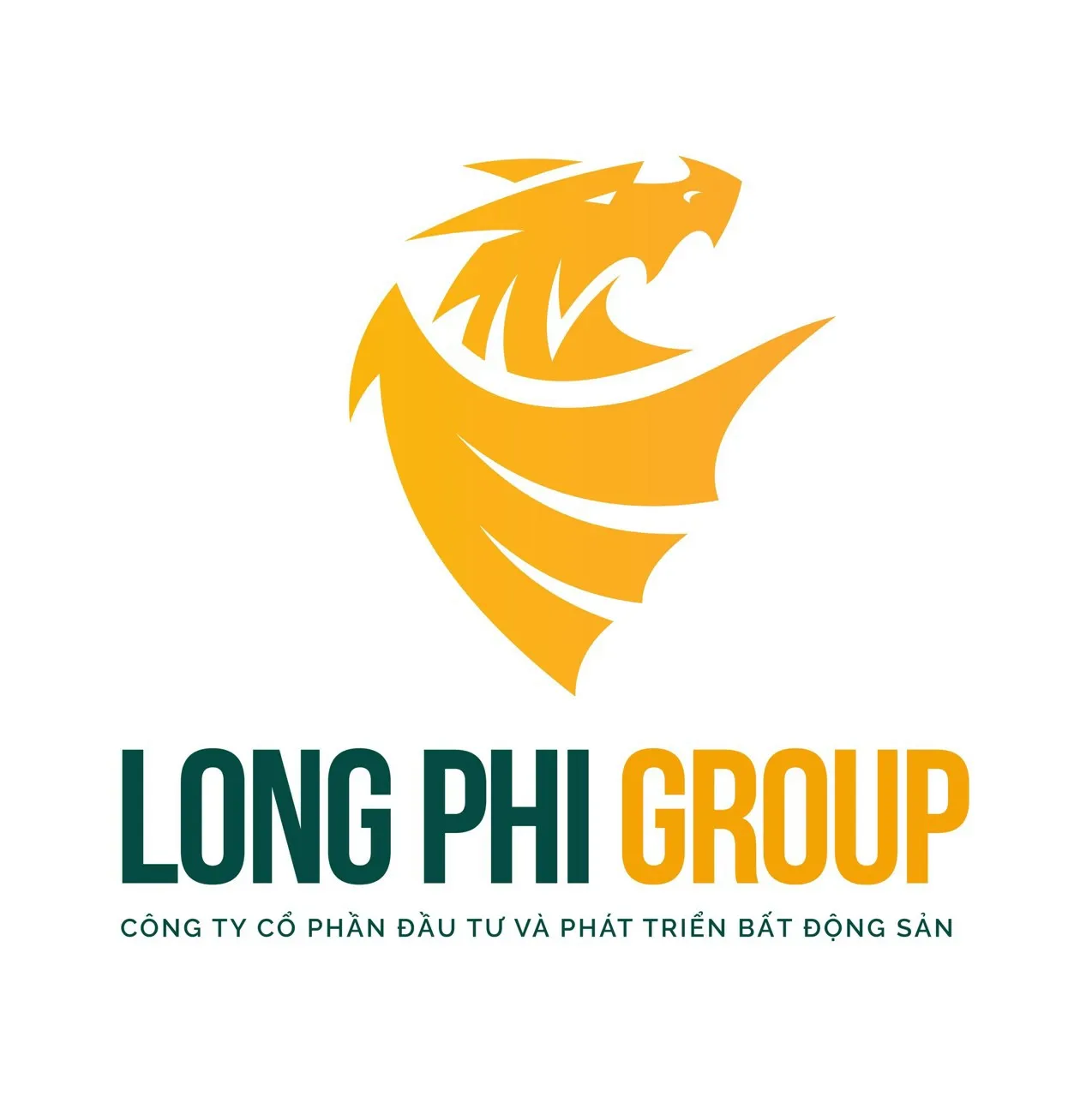 Công Ty Cổ Phần Đầu Tư Và Phát Triển Bất Động Sản Long Phi Group