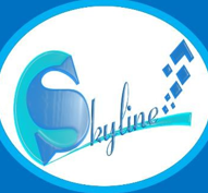 CÔNG TY TNHH THƯƠNG MẠI & DỊCH VỤ SKYLINE VIỆT NAM