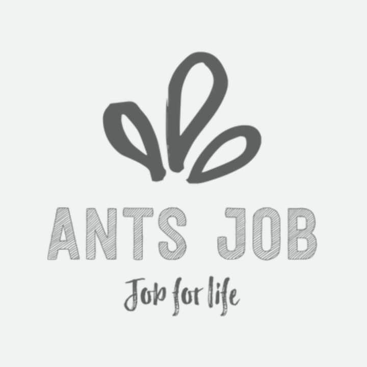 ANTS JOB