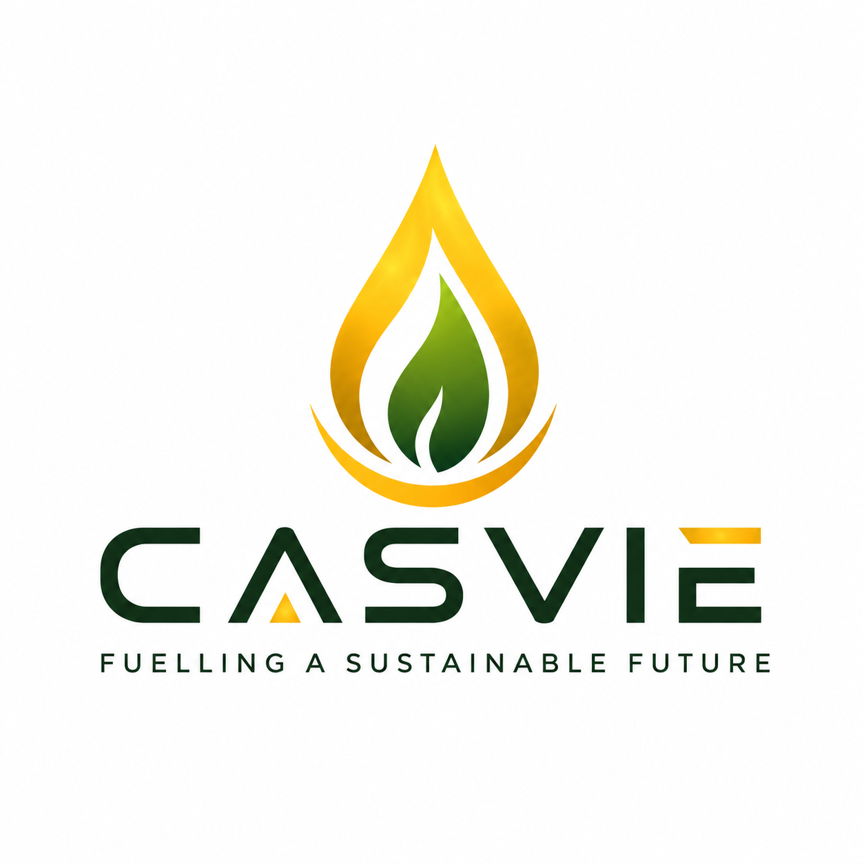 CÔNG TY CỔ PHẦN CASVIE