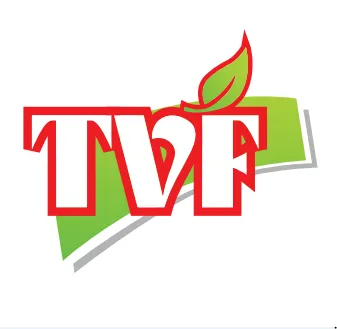 CÔNG TY CỔ PHẦN TÂM VIỆT FOODS