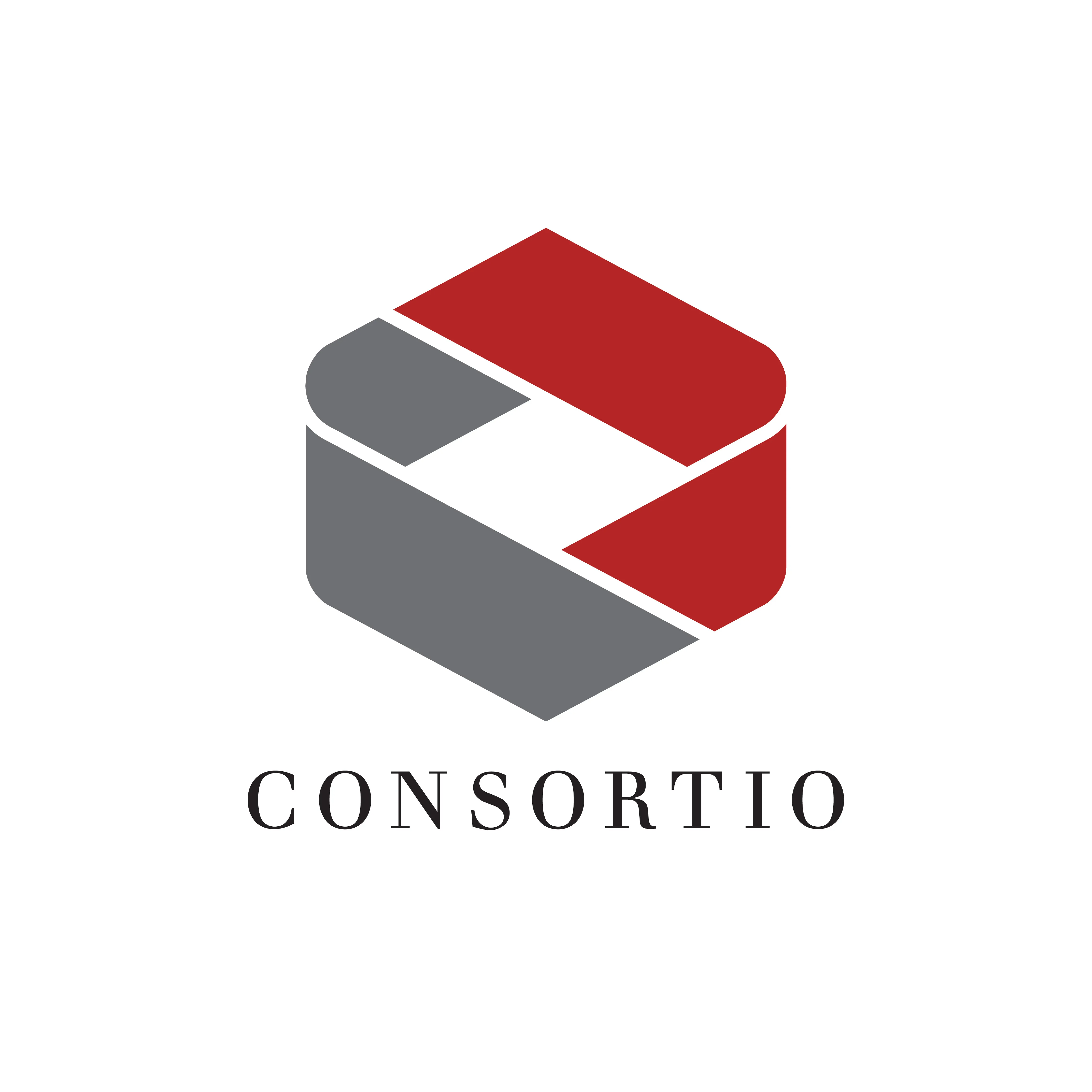 Công ty Cổ phần Consortio Việt Nam