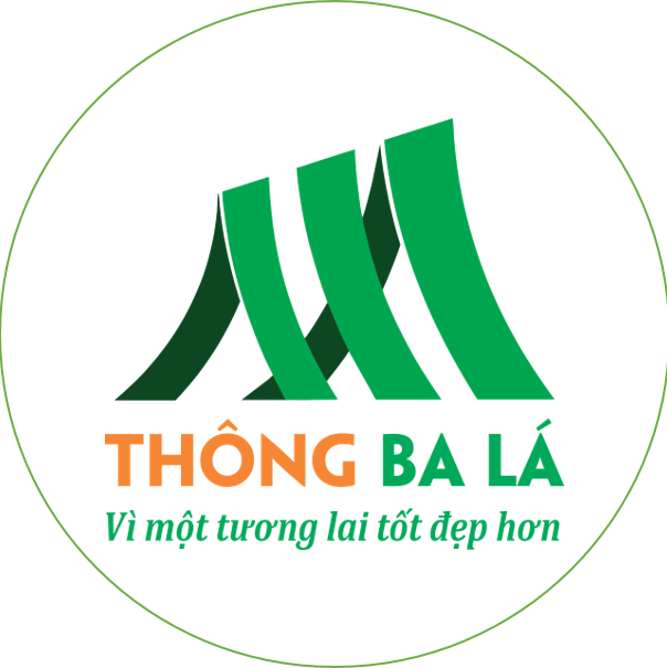 CÔNG TY TNHH DỊCH VỤ GIÁO DỤC THÔNG BA LÁ