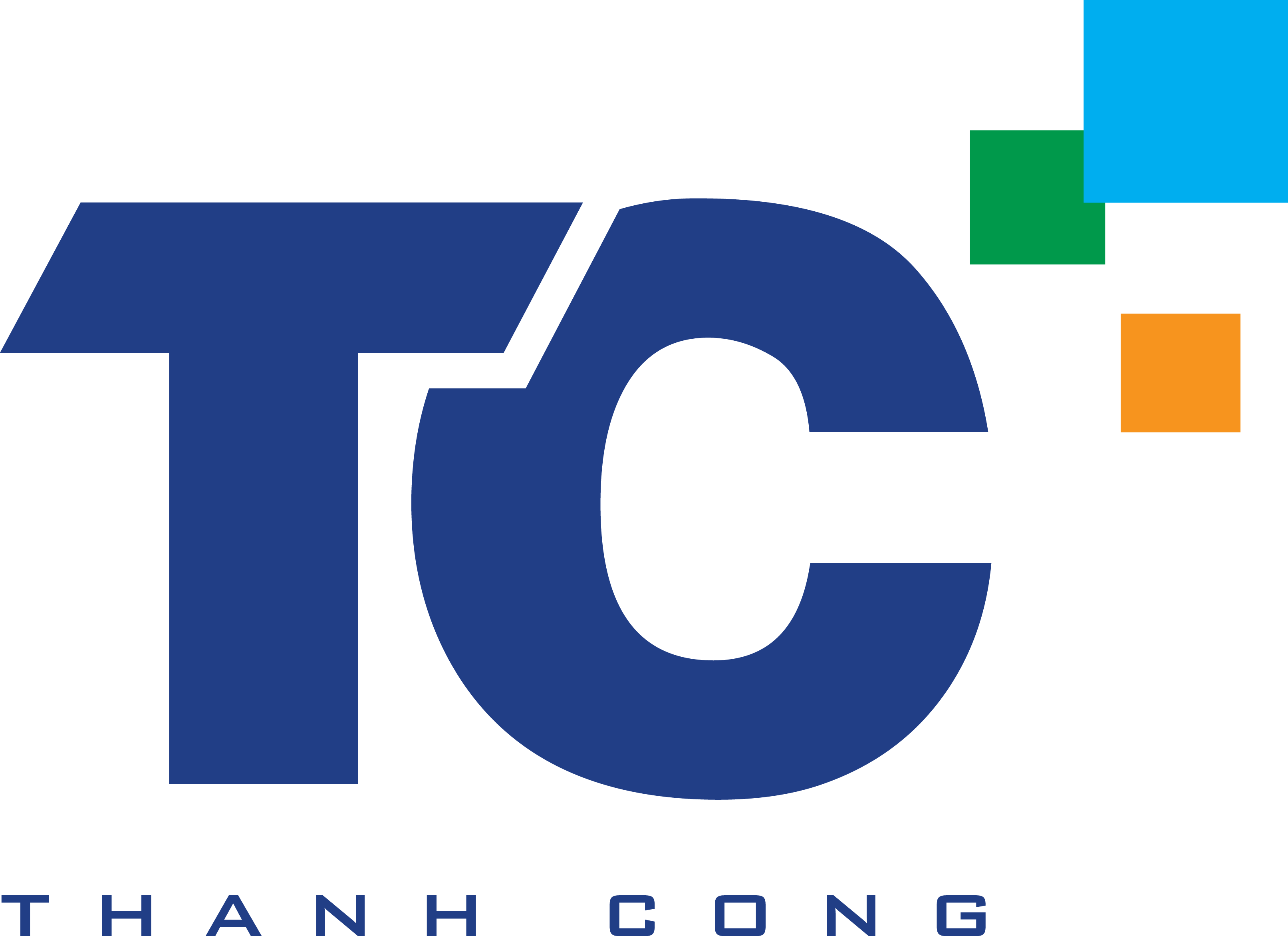 CÔNG TY CỔ PHẦN DỆT MAY ĐẦU TƯ THƯƠNG MAI THÀNH CÔNG