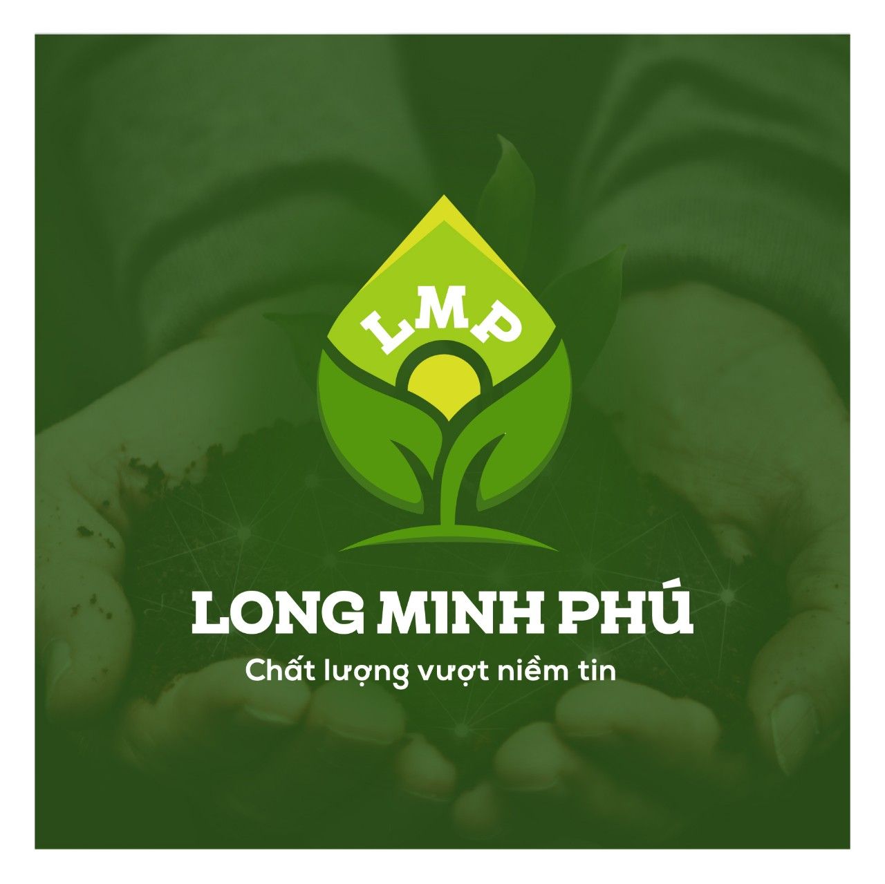 CÔNG TY TNHH TM DV XNK LONG MINH PHÚ