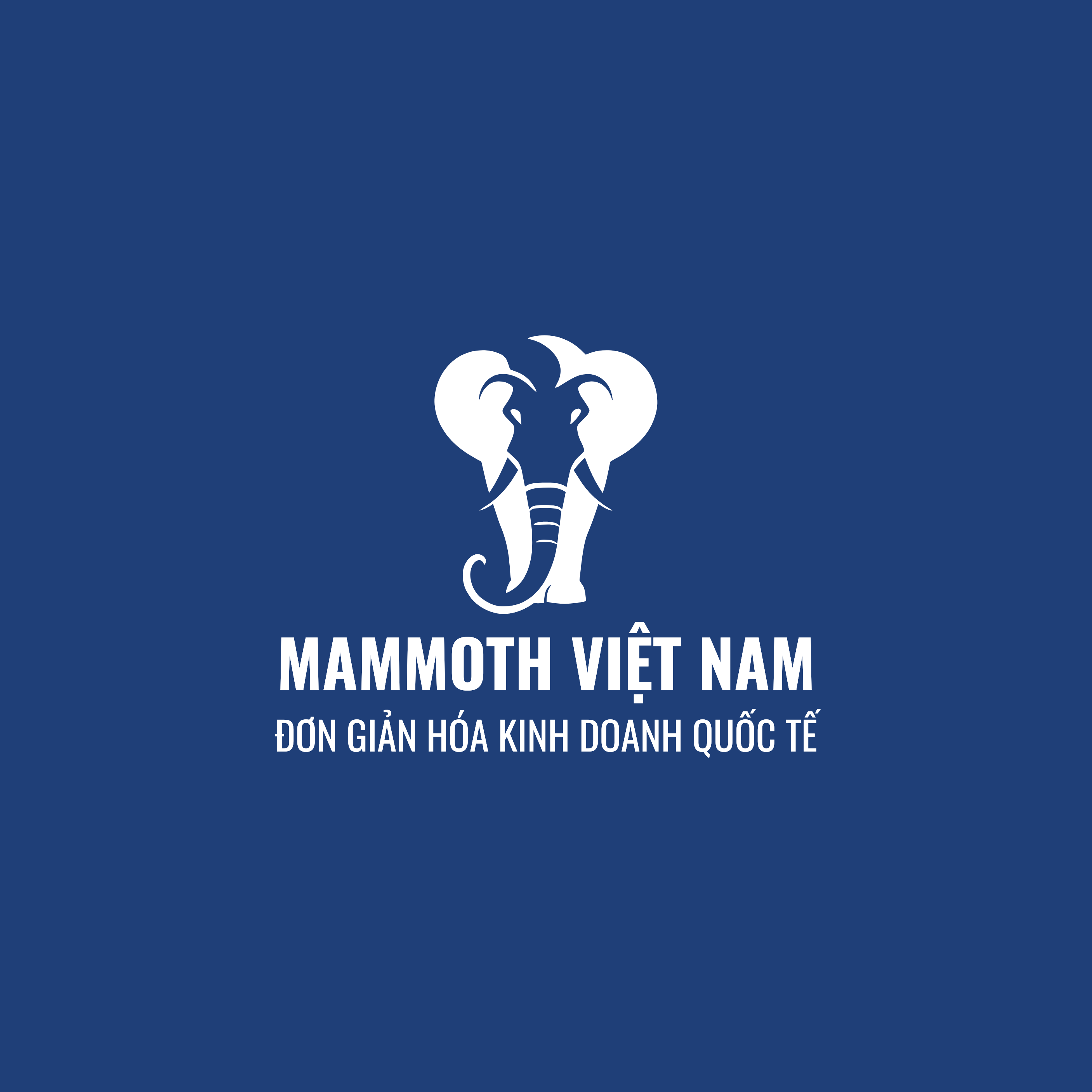 CÔNG TY TNHH CÔNG NGHỆ MAMMOTH VIỆT NAM