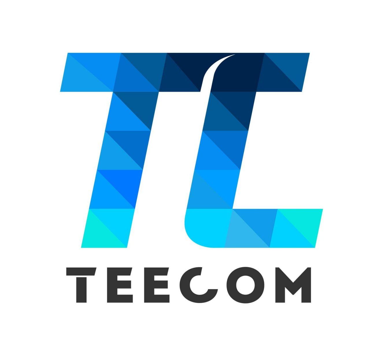CÔNG TY CỔ PHẦN TEECOM