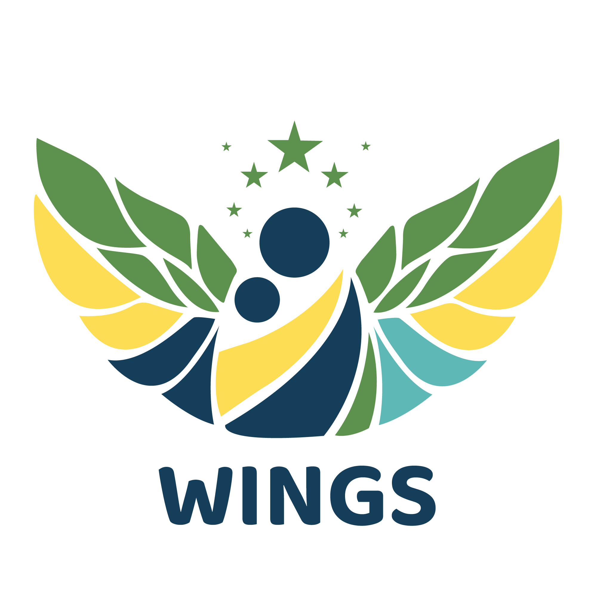 CÔNG TY CỔ PHẦN SEL WINGS