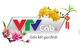 Tổng Công ty Dịch vụ truyền hình cáp Việt Nam - Chi nhánh Đồng Tháp