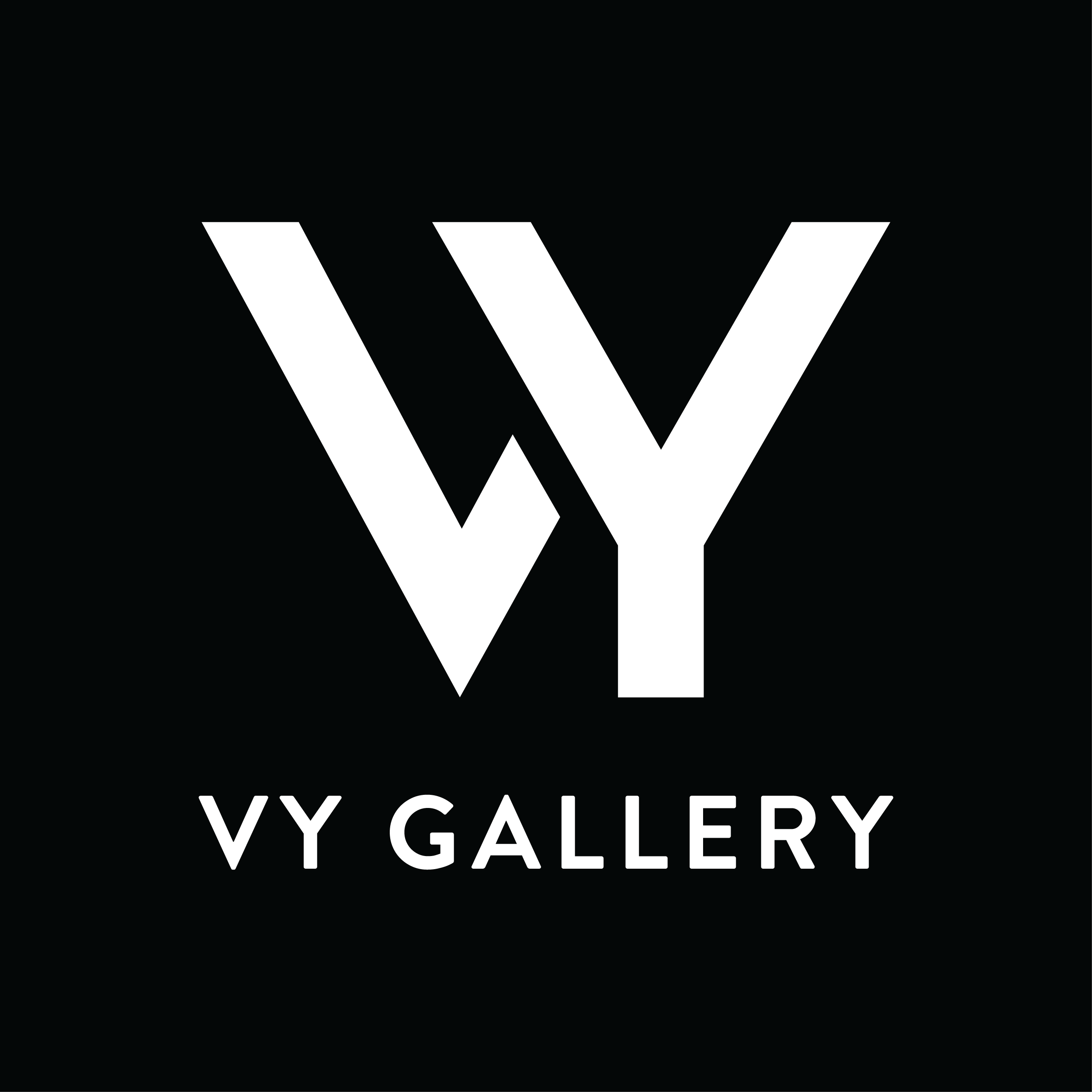 VY GALLERY