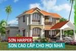 Tập đoàn sơn Nam Việt
