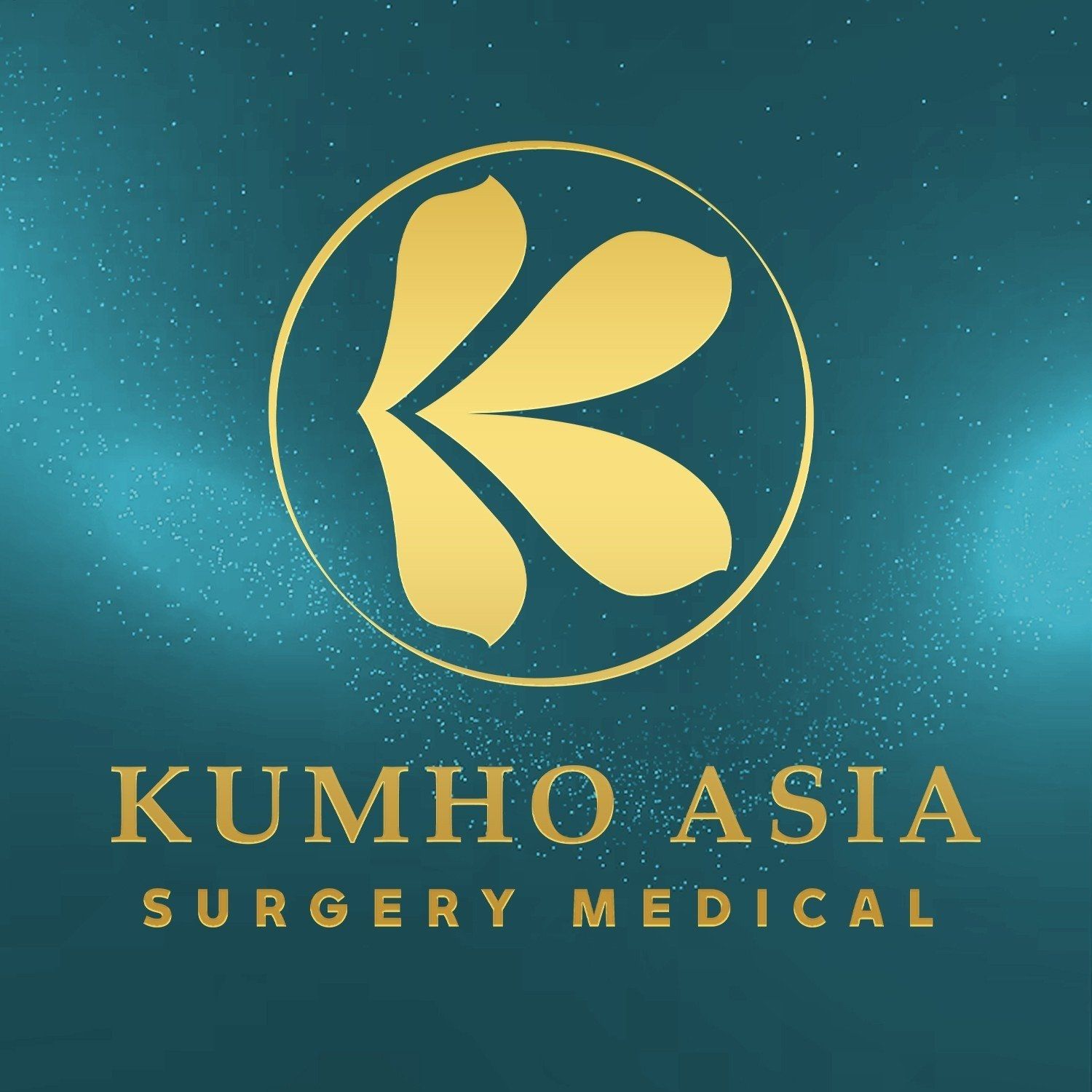 CÔNG TY TNHH THẨM MỸ KUMHOASIA MEDICAL