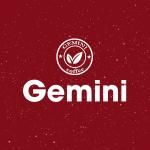 TNHH Cà phê Gemini