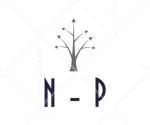 TNHH Dũng Nguyễn