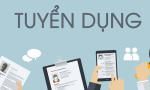 TNHH giải pháp nguồn nhân lực SkyNet