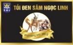 TNHH MTV Hải Đảo Lý Sơn Quảng Ngãi