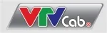 Tổng công ty truyền hình cáp Việt Nam