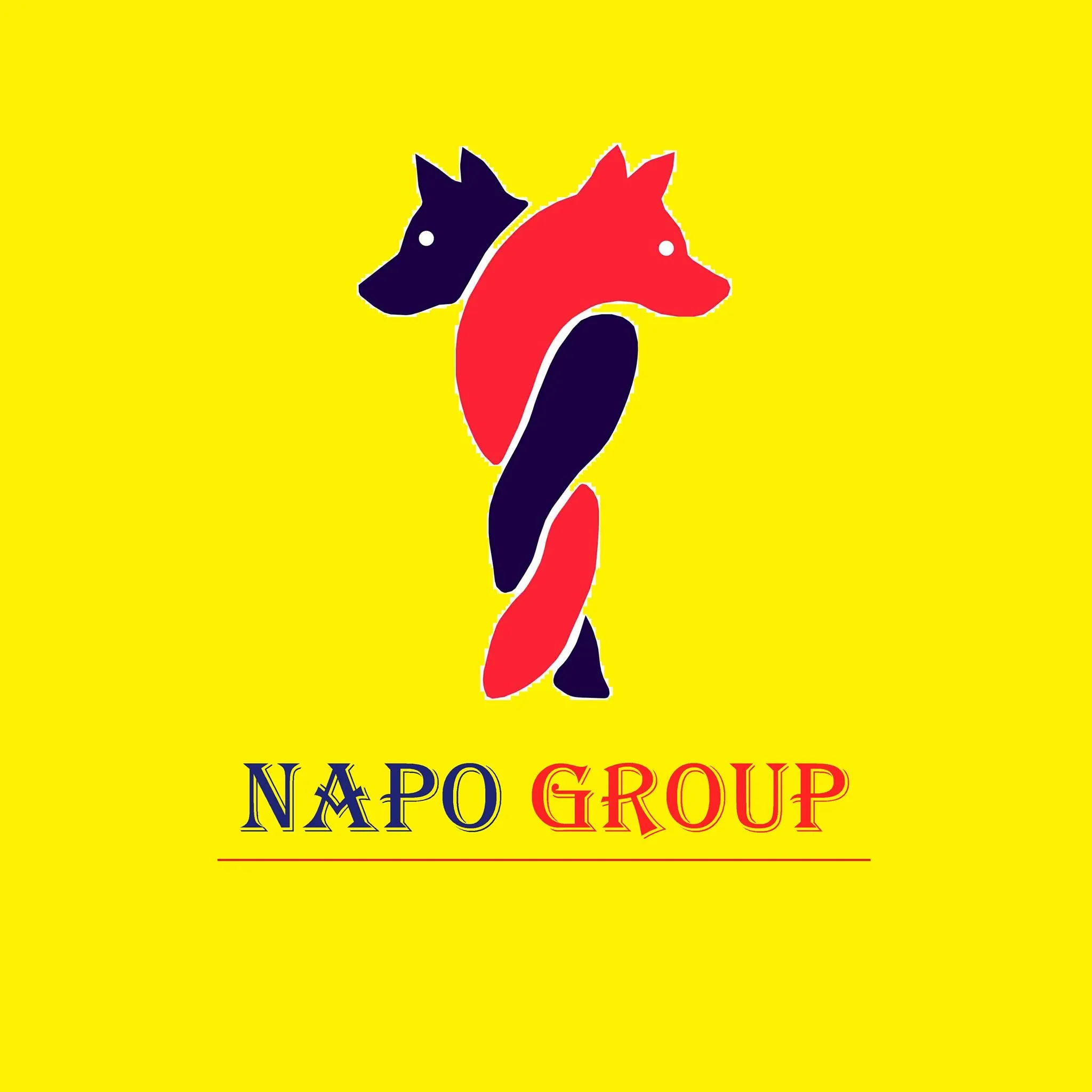 Công ty CP ĐTTM Napo Việt Nam