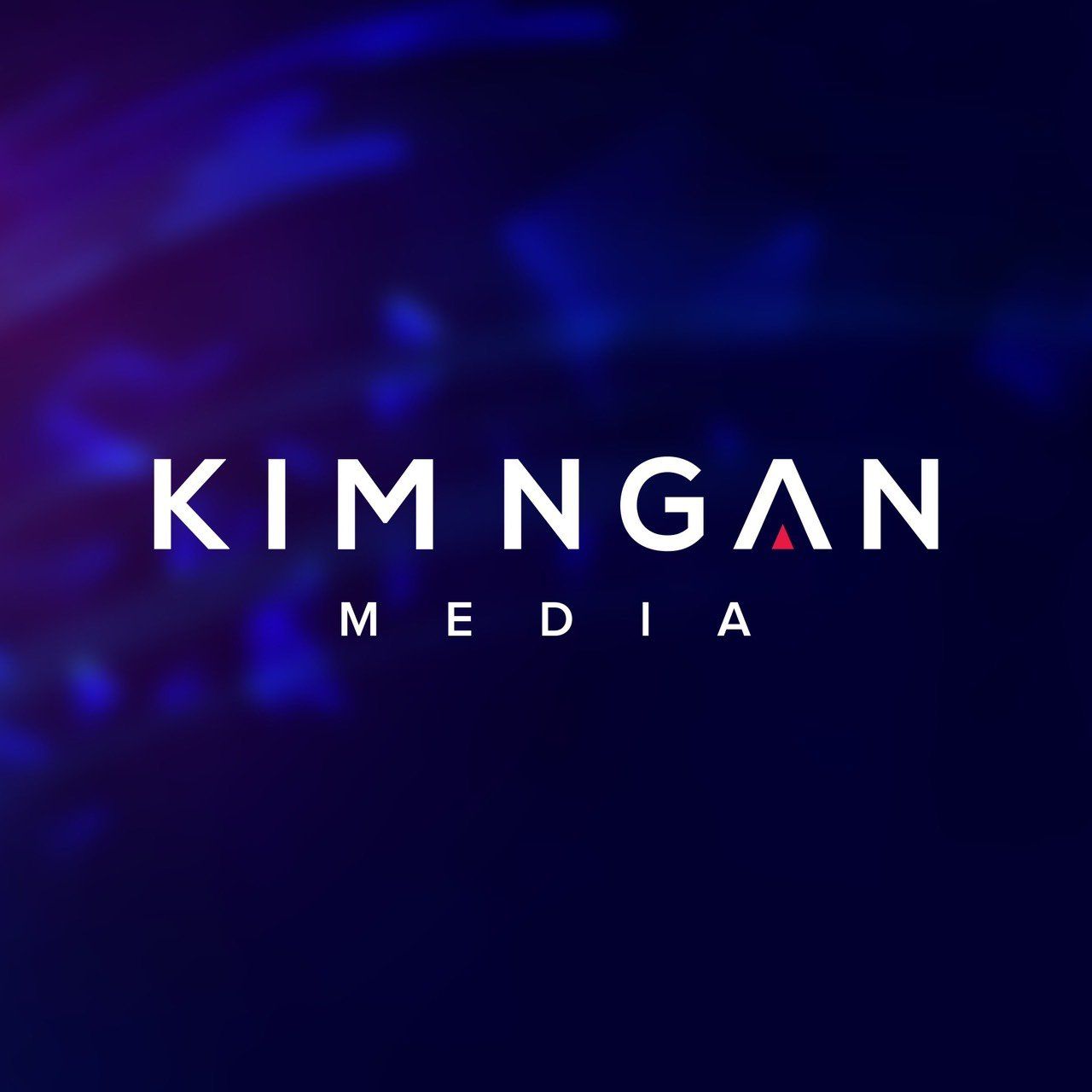 CÔNG TY CỔ PHẦN TRUYỀN THÔNG KIM NGÂN MEDIA