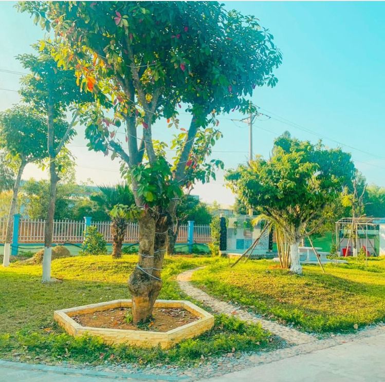 Công Ty Cổ Phần Viet Home Stone